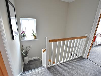 Picture 15